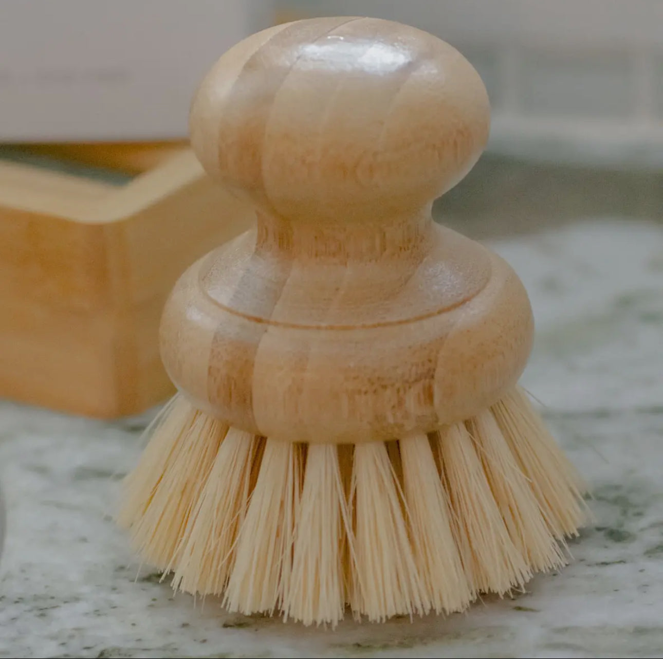 CASA AGAVE® Dish Brush