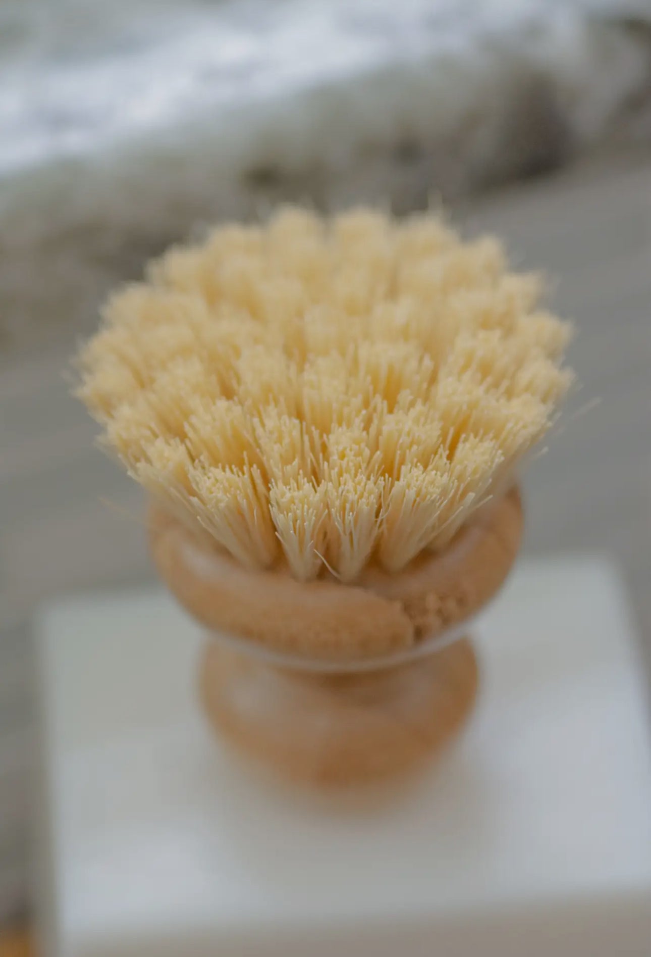 CASA AGAVE® Dish Brush