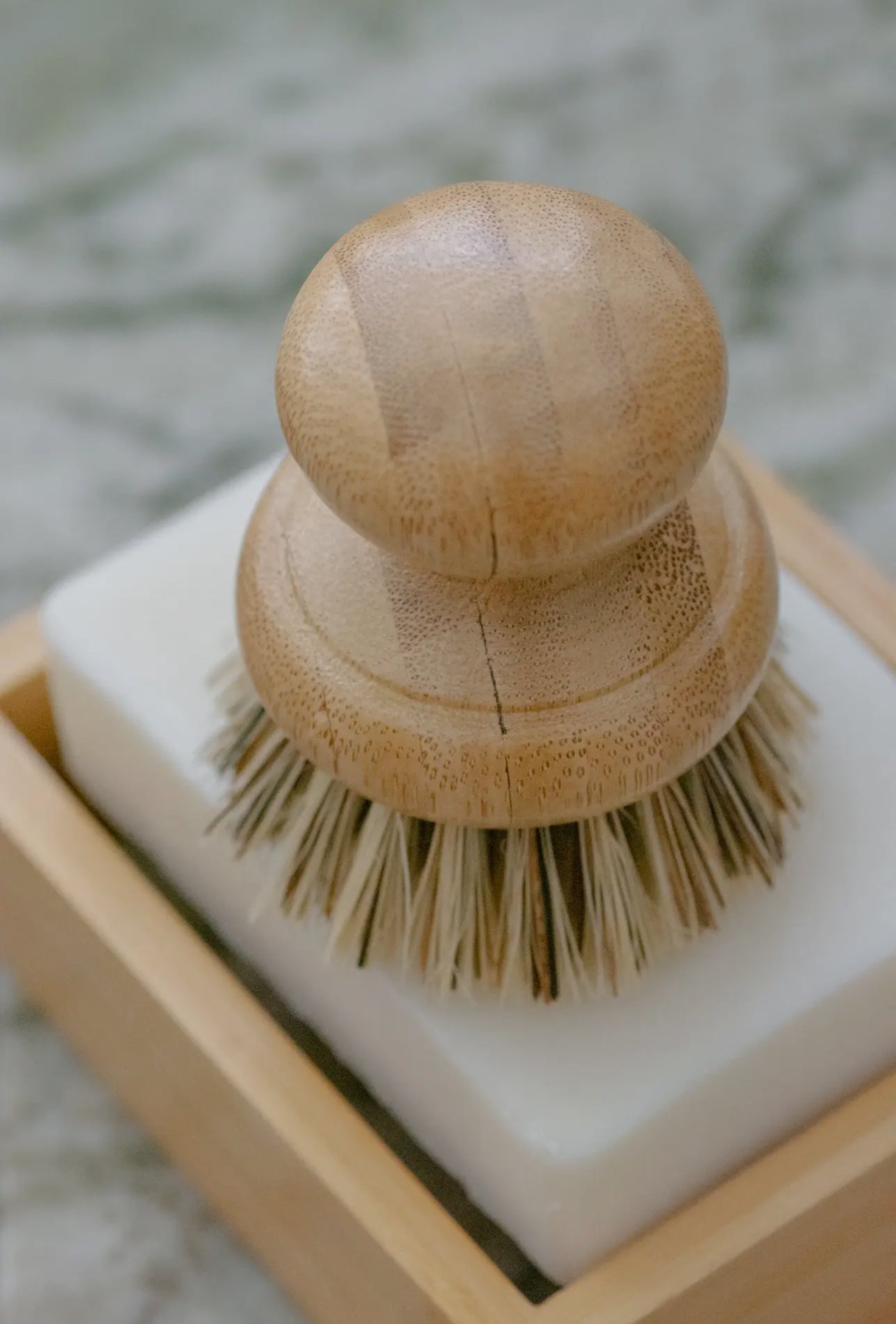 CASA AGAVE® Dish Brush