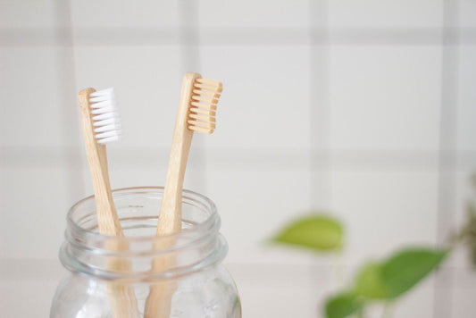 5 Small Things You Can Do to Be More Eco-Friendly