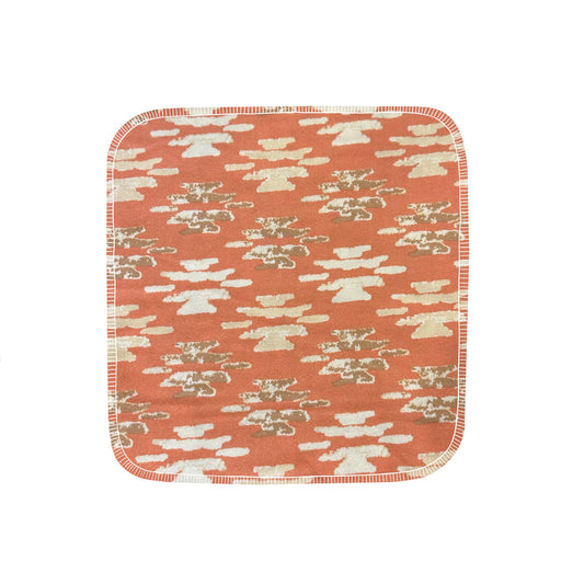 Reusable Paper Towels--24 count--Coral Aztec--Porter Lee's
