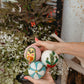 Organic Wool Dryer Balls--Betty Blue Wrapped Daisy