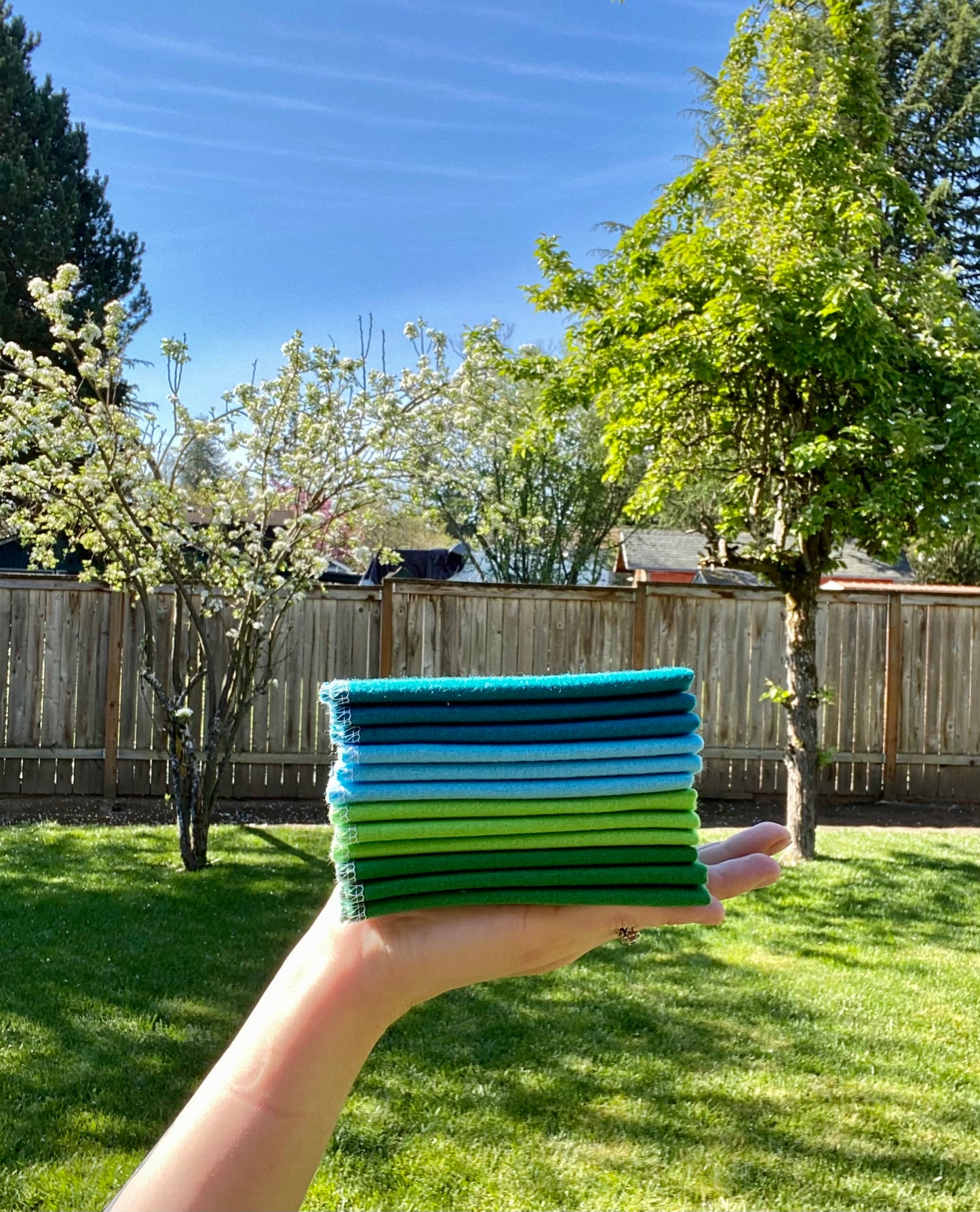 Reusable Paper Towels—Solid Earth Day Love